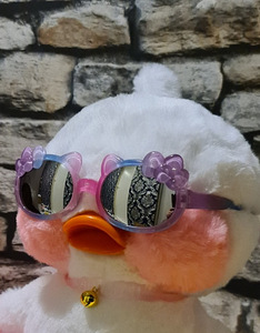 Päikeseprillid Duck LaLafanfanile või lapsele (2 foto / 8)
