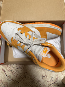 Nike dunk tossud low 46 (1 foto / 3)