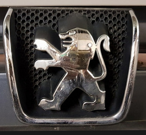 Peugeot 307 tuli (2 foto / 3)