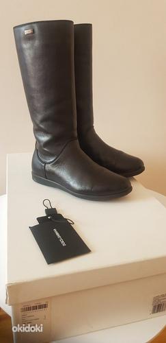 Dolce&Gabbana кожаные сапоги, размер 34 (фото #1)