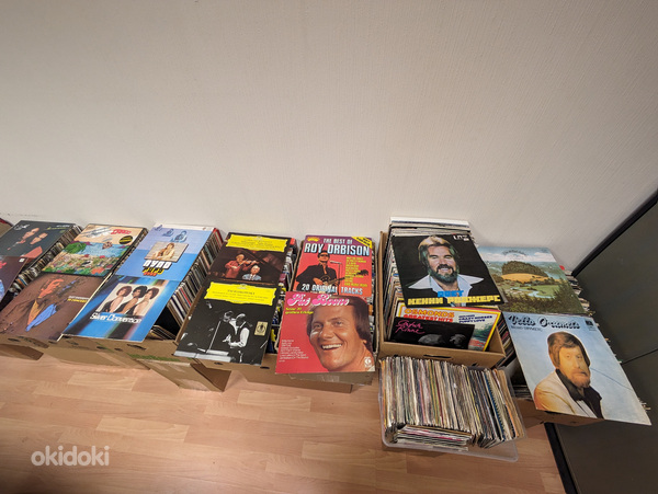 Большое количество виниловых пластинок и компакт-дисков (фото #1)