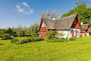 Saueaugu, Koluvere, Lääne-Nigula vald, Läänemaa (2 foto / 10)