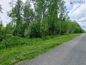 Kaseoksa tee, Ääsmäe, Saue vald, Harjumaa (4 foto / 9)