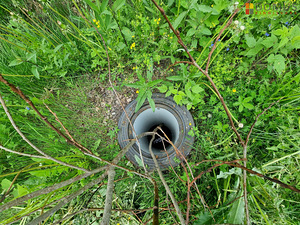 Kaseoksa tee, Ääsmäe, Saue vald, Harjumaa (6 foto / 9)
