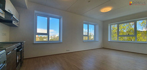 Paepargi tn 50/1, Lasnamäe, Tallinn, Harjumaa (1 foto / 10)