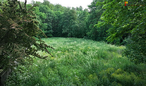 Lepa põik 6, Pirita, Tallinn, Harjumaa (4 foto / 10)
