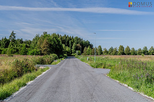 Lõuna tn 8, Seljametsa, Pärnu linn, Pärnumaa (7 foto / 10)