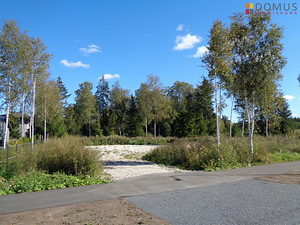 Suve tee 12, Aila, Saue vald, Harjumaa (3 foto / 10)