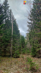 Männikäbi, Suurküla, Lääne-Harju vald, Harjumaa (2 foto / 4)