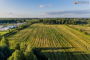 Pärnu maakond, Pärnu linn, Papsaare küla, Elu tee 4
