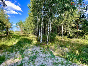 Elu tee 4, Papsaare, Pärnu linn, Pärnumaa (8 foto / 10)