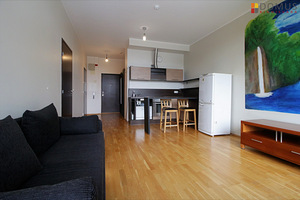 Jõeküla tee 14, Haabersti, Tallinn, Harjumaa (2 foto / 10)