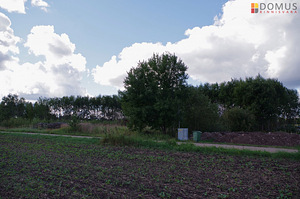 Lodjapuu, Ridaküla, Elva vald, Tartumaa (8 foto / 10)