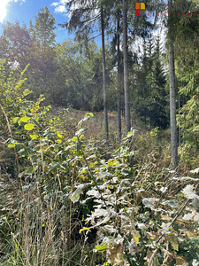 Luige, Tuhalaane, Mulgi vald, Viljandimaa (7 foto / 10)