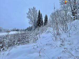 Luige, Tuhalaane, Mulgi vald, Viljandimaa (10 foto / 10)