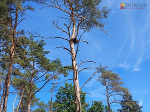 Harju maakond, Raasiku vald, Aruküla alevik, Siisikese 3 (10 foto / 10)