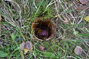 Tööstuse tn 12, Keila, Harjumaa (5 foto / 10)