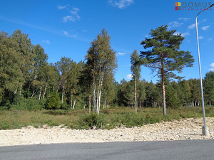Suve tee 34, Aila, Saue vald, Harjumaa (4 foto / 10)