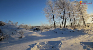 Põhjatuule tee 4, Ilmandu, Harku vald, Harjumaa (3 foto / 9)