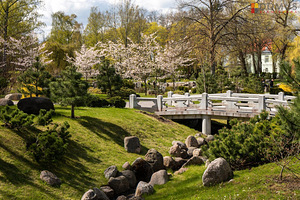 Oru tn 2, Kesklinna, Tallinn, Harjumaa (8 foto / 10)