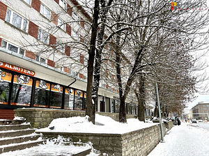 A. Puškini tn 22, Vanalinn, Narva, Ida-Virumaa (1 foto / 10)
