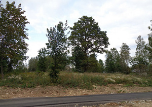 Suve tee 22, Aila, Saue vald, Harjumaa (10 foto / 10)