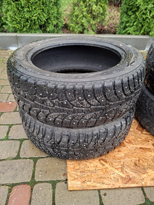 Naelrehvide komplekt 205/55/16 (3 foto / 9)