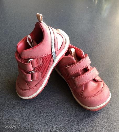 Ecco r.21