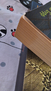 Jonathan Stroud " Kisendav trepp "" Sosistav kolp" (8 foto / 9)