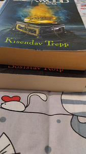 Jonathan Stroud " Kisendav trepp "" Sosistav kolp" (9 foto / 9)