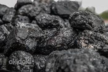 Каменный уголь (фото #1)