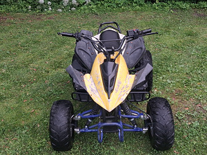 Детский ATV 125cc (2 фото из 8)