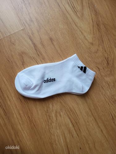 Новые носки, размер 36-41 (фото #1)
