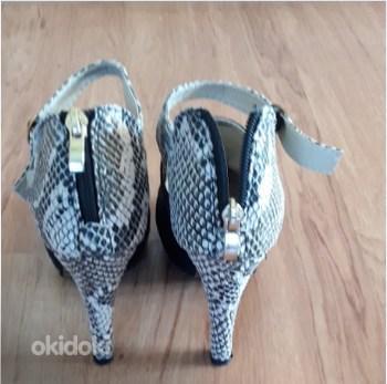 Naiste kingad, 38 (foto #2)