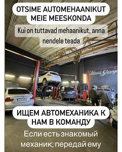 Autolukksepp / automehaanik / automehaanik (3 foto / 7)
