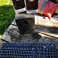LG monitor+klaviatuur ja Logitech kõlarid (foto #2)