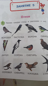 Развивающая книжка (3 фото из 3)