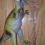 Динозавр (фото #2)