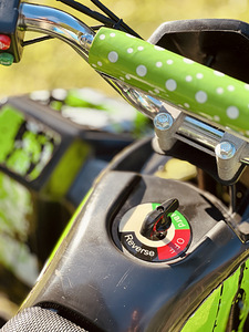 Laste elektri atv (8 foto / 10)