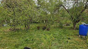 Üürile anda 800 m² suurune krunt Maardus (8 foto / 11)