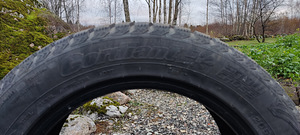 Talverehvid Cordiant M+S 205/55/R16 (4 foto / 5)