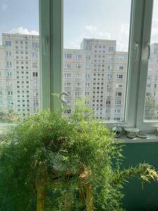 Paekaare tn 22, Lasnamäe, Tallinn, Harjumaa (8 foto / 15)