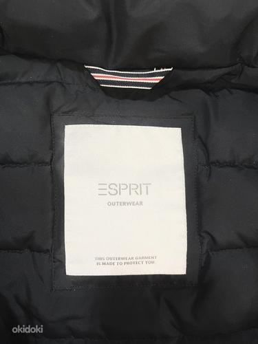 Мужская зимняя куртка esprit 3M Insulation (фото #3)
