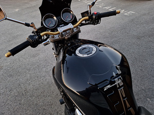 Suzuki Alcatraz 56/250 (5 foto / 10)
