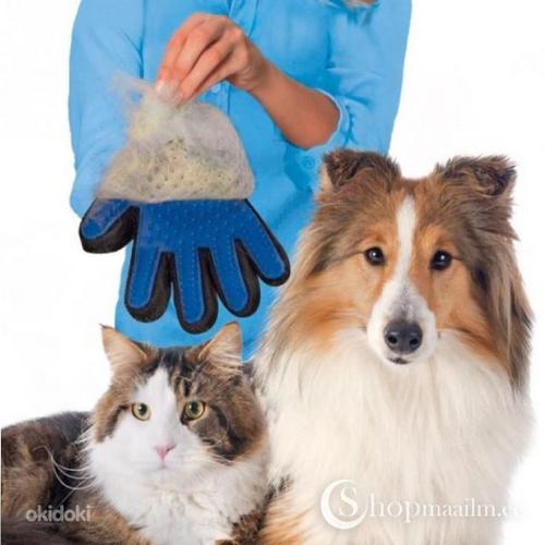 Перчатка для вычесывания шерсти (для собак и кошек) (фото #3)