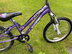 20" Shwinn jalgratas lastele 6-9a (2 foto / 4)