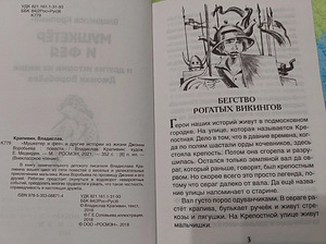 Книга - Мушкетер и фея (2 фото из 3)