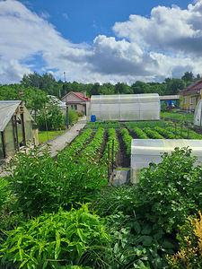 Aretaja vkt 77, Kohtla-Järve, Ida-Virumaa (16 foto / 16)