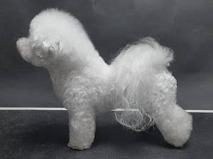 Bichon Frise 2,5 aastat (1 foto / 3)