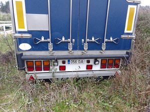 Poolhaagis/täishaagis (3 foto / 4)